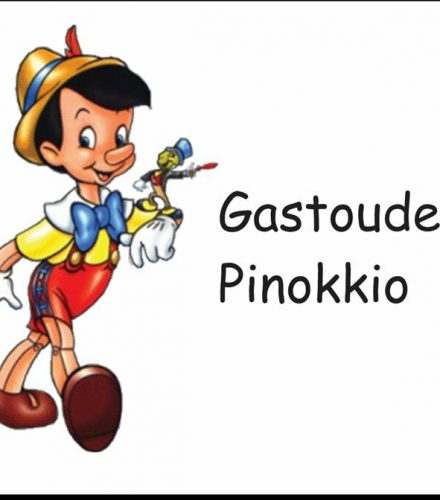 Gastouderopvang Pinokkio